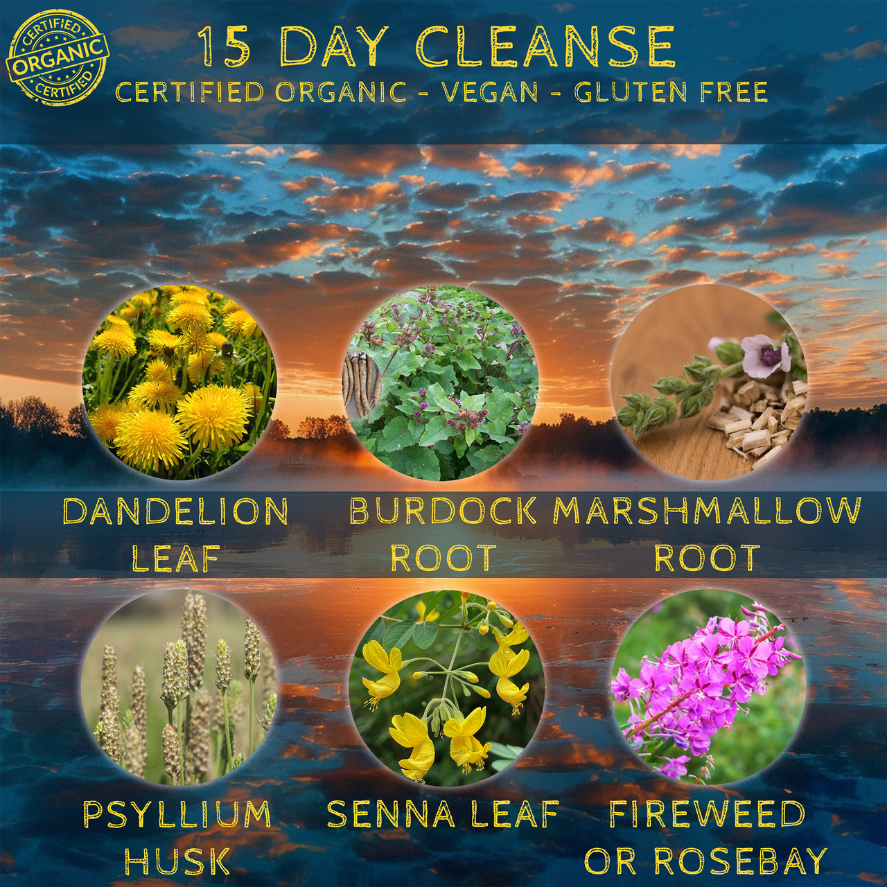 15 Day Cleanse