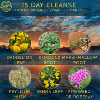 Thumbnail for 15 Day Cleanse